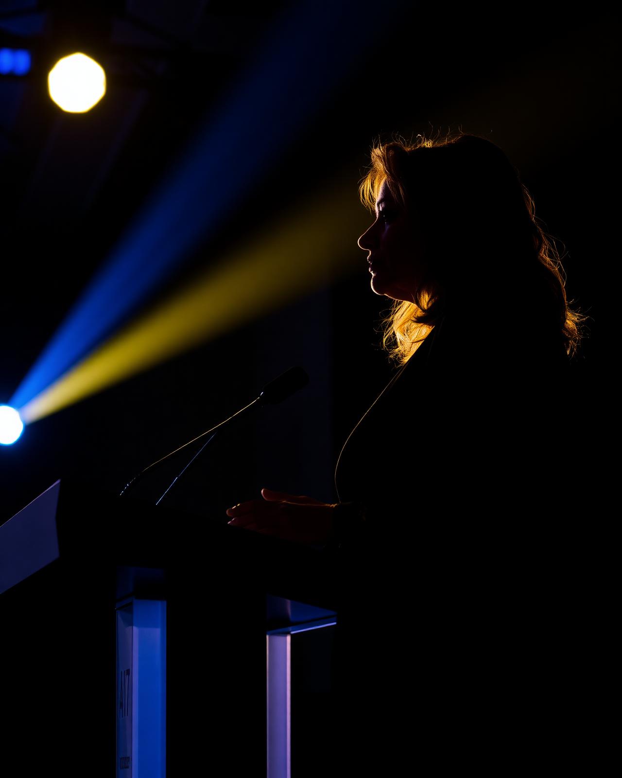Professional speaker silhouette